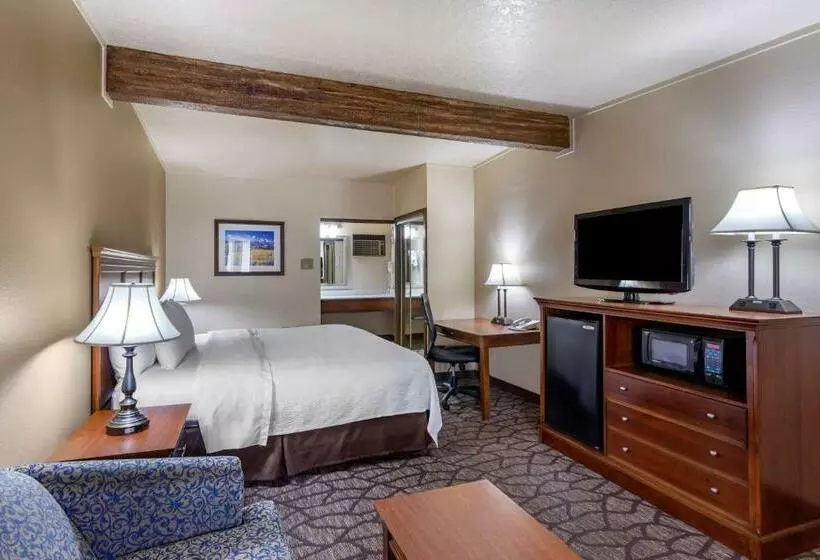 キングサイズベッドのスタンダードルーム, Best Western Dunmar Inn