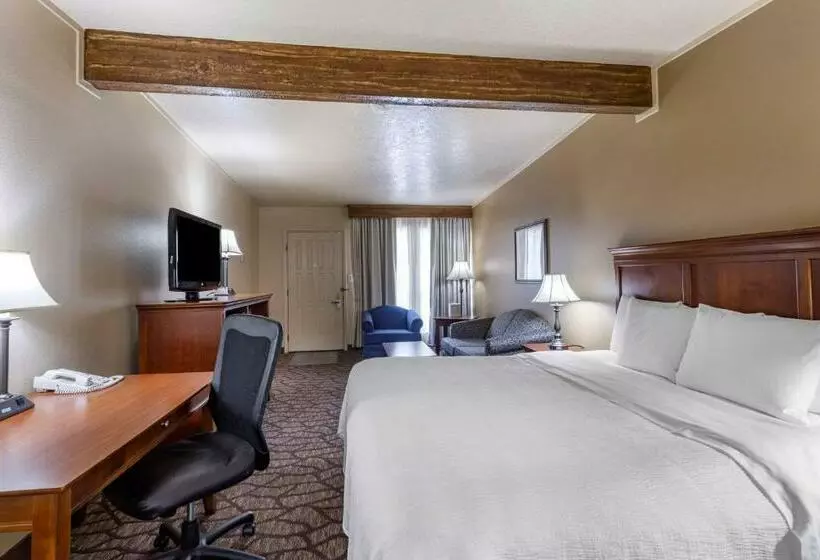 キングサイズベッドのスタンダードルーム, Best Western Dunmar Inn