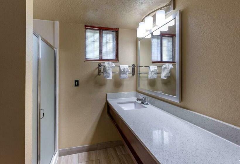 جناح سرير كينج, Best Western Dunmar Inn