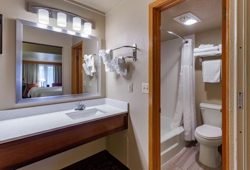 غرفة قياسية, Best Western Dunmar Inn