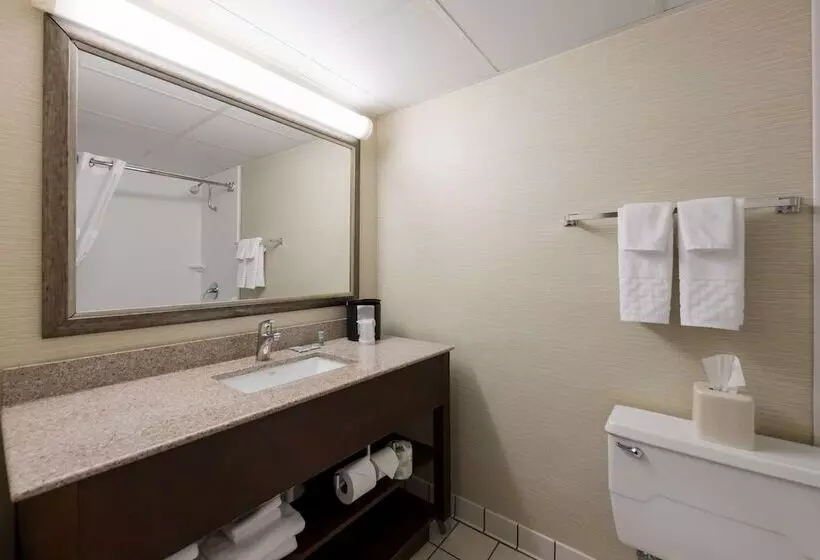 ２ダブルベッドのスタンダードルーム, Best Western Holiday Lodge