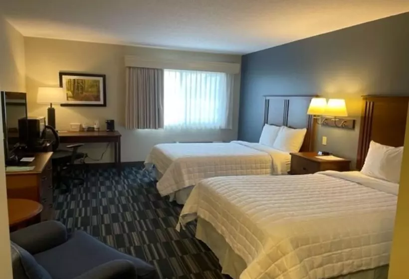 ２ダブルベッドのスタンダードルーム, Best Western Inn