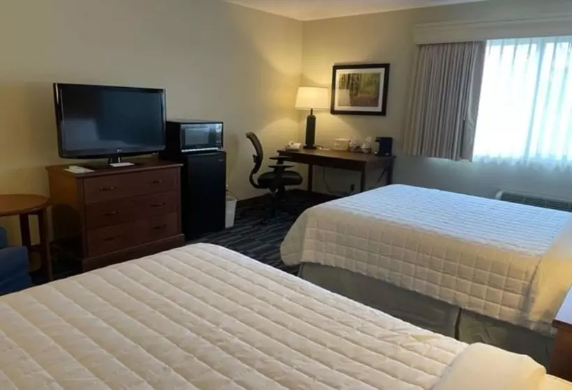 ２ダブルベッドのスタンダードルーム, Best Western Inn