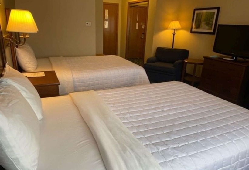 غرفه قياسيه سريرين مزدوجين, Best Western Inn