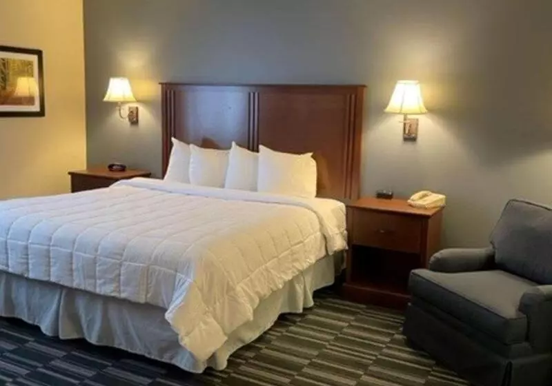 キングサイズベッドのスイートルーム, Best Western Inn