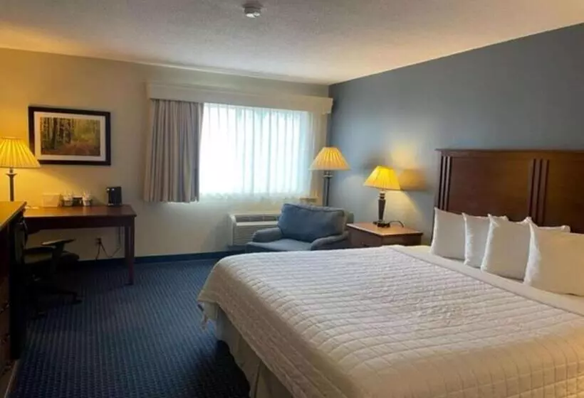キングサイズベッドのスタンダードルーム, Best Western Inn