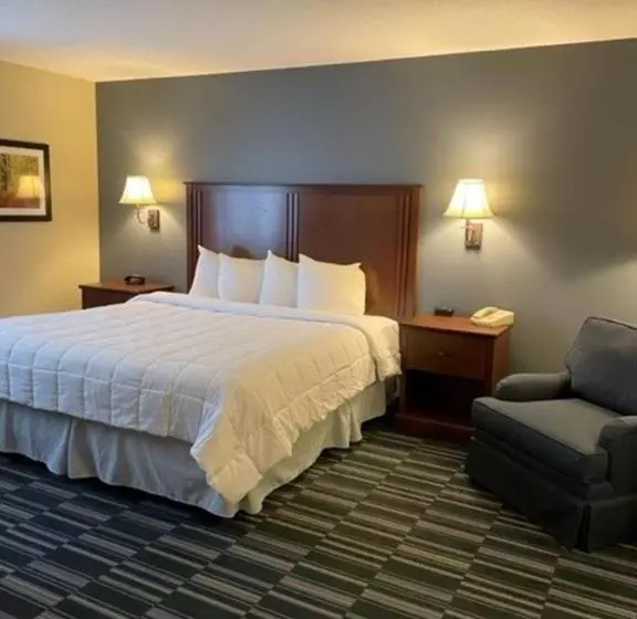 キングサイズベッドのスタンダードルーム, Best Western Inn