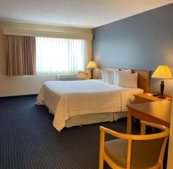キングサイズベッドのスタンダードルーム, Best Western Inn