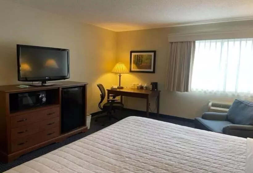 身障者適用キングサイズベッドルーム, Best Western Inn