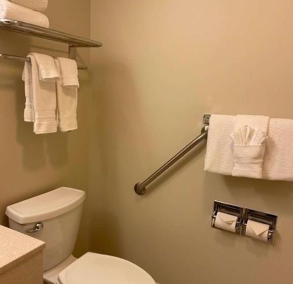 غرفة قياسية سرير كينج لذوى الإحتياجات الخاصة, Best Western Inn