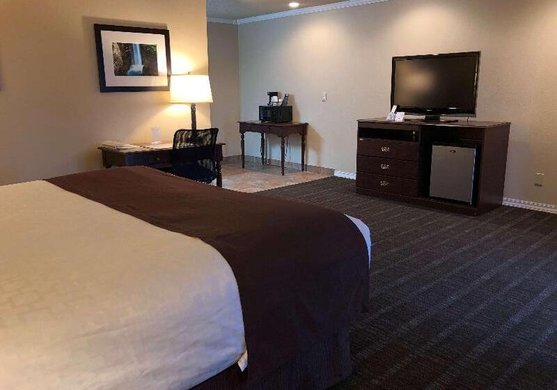 스탠다드 룸 킹사이즈 침대, Best Western Lakewood  Historic Landmark