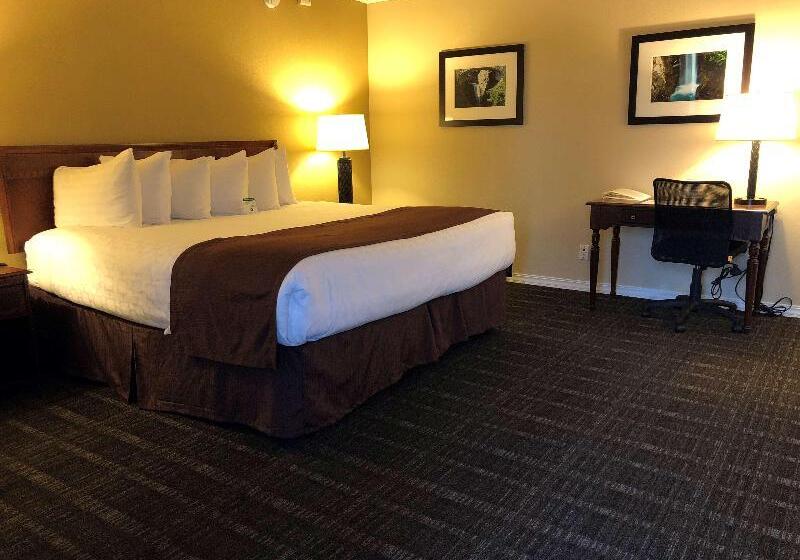 스탠다드 룸 킹사이즈 침대, Best Western Lakewood  Historic Landmark