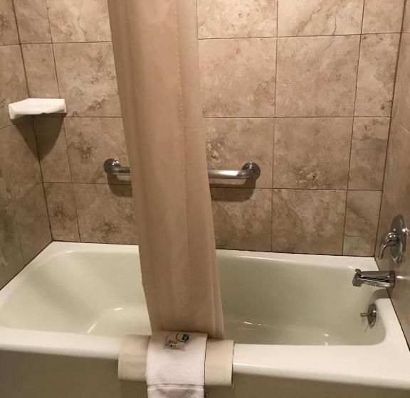 스탠다드 룸 킹사이즈 침대, Best Western Lakewood  Historic Landmark