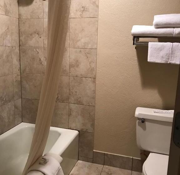 스탠다드 룸 킹사이즈 침대, Best Western Lakewood  Historic Landmark