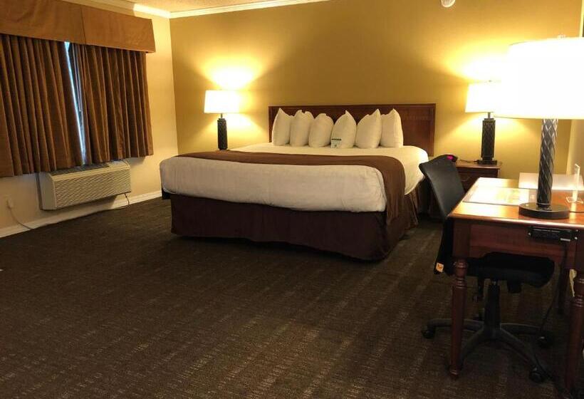 스탠다드 룸 킹사이즈 침대, Best Western Lakewood  Historic Landmark