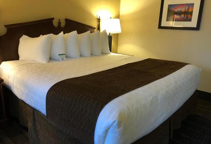 장애인을 위한 킹사이즈 침대 스탠다드 룸, Best Western Lakewood  Historic Landmark