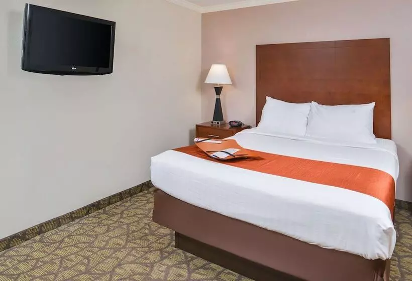 スイート, Best Western Of Hartland
