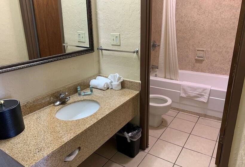 غرفه قياسيه سريرين مزدوجين, Best Western Of Hope