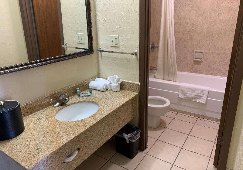 غرفة قياسية سرير كينج, Best Western Of Hope