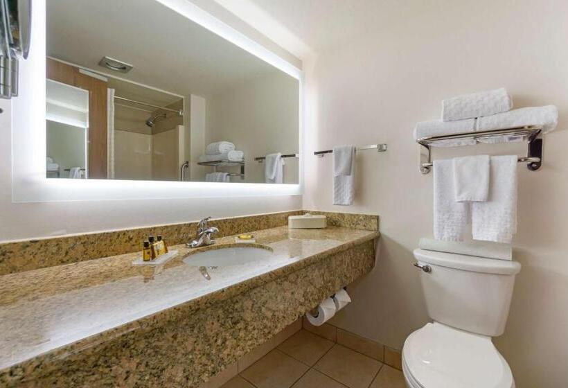 غرفة قياسية سرير كينج, Best Western Plus Oak Harbor Hotel And Conference Center