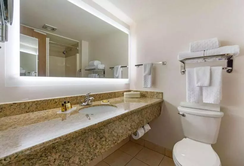 اتاق استاندارد با تخت بزرگ, Best Western Plus Oak Harbor Hotel And Conference Center