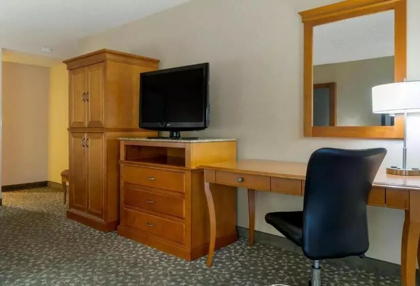 اتاق استاندارد با تخت بزرگ, Best Western Plus Oak Harbor Hotel And Conference Center