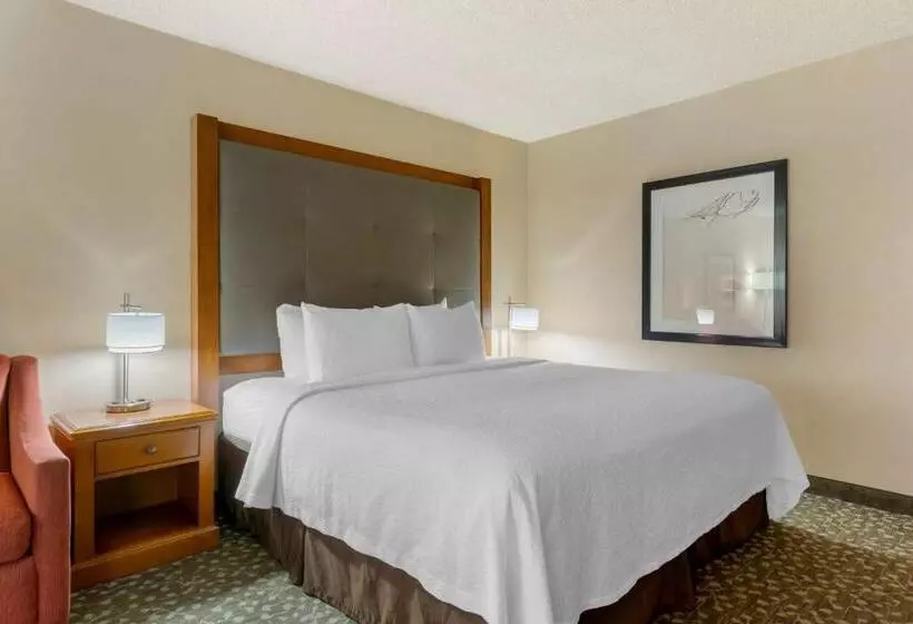 اتاق استاندارد با تخت بزرگ, Best Western Plus Oak Harbor Hotel And Conference Center