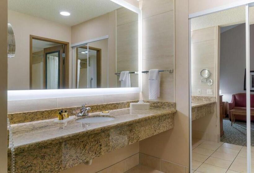 غرفة قياسية سرير كينج, Best Western Plus Oak Harbor Hotel And Conference Center