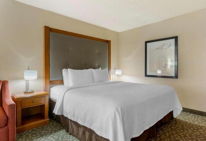 장애인을 위한 스탠다드 룸, Best Western Plus Oak Harbor Hotel And Conference Center