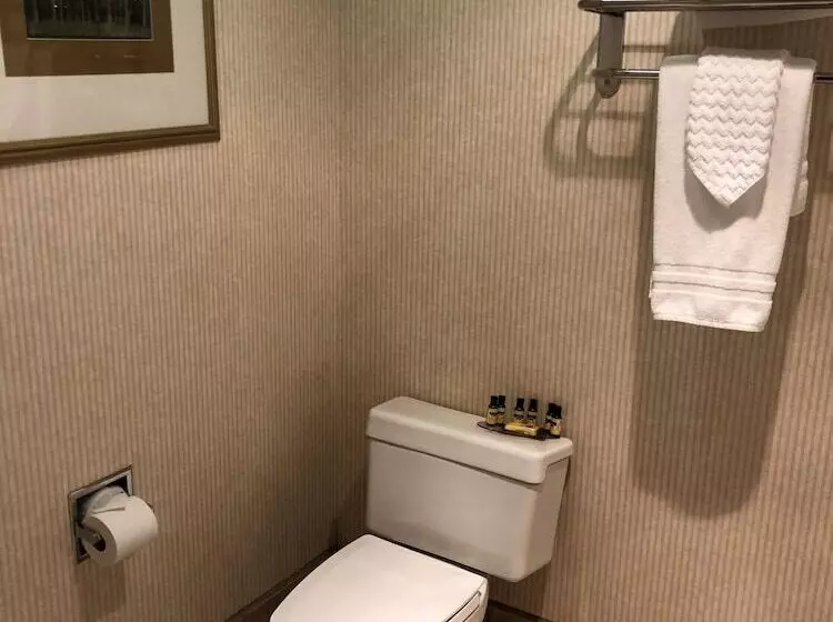 اتاق استاندارد با تخت دوبل, Best Western Plus Placerville Inn