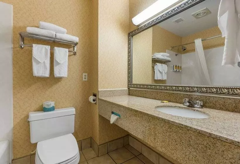 اتاق استاندارد با تخت دوبل, Best Western Plus Placerville Inn