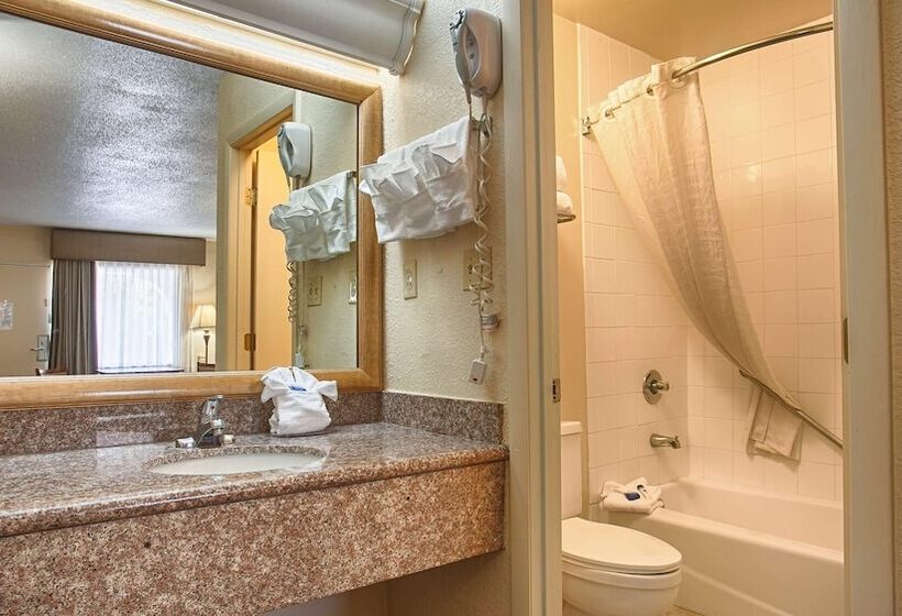스탠다드 룸 더블 침대 2개, Best Western Point South