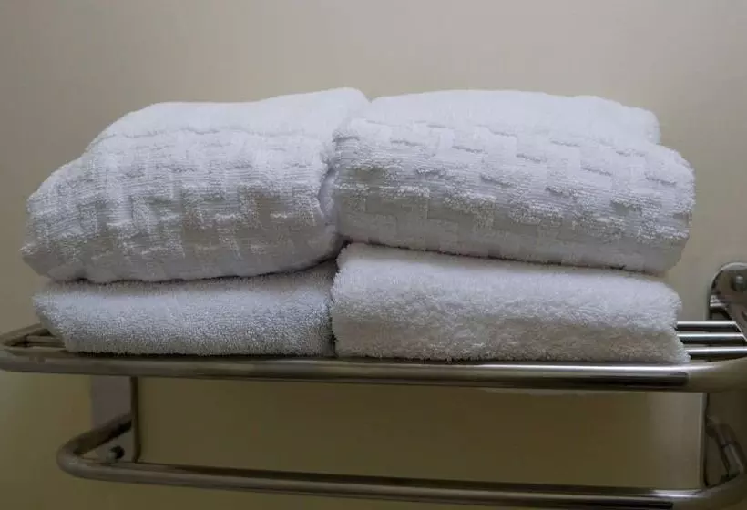 ２ダブルベッドのスタンダードルーム, Best Western Point South