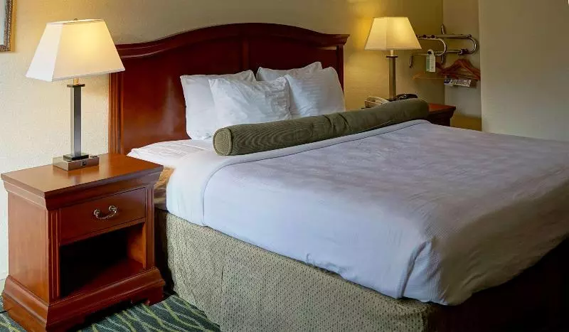 キングサイズベッドのスタンダードルーム, Best Western Point South
