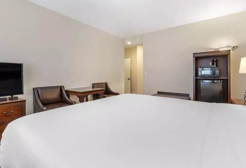 سوییت, Best Western Rose Garden Inn