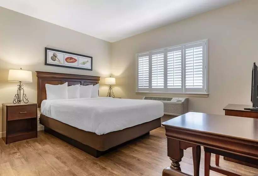 سوییت, Best Western Rose Garden Inn