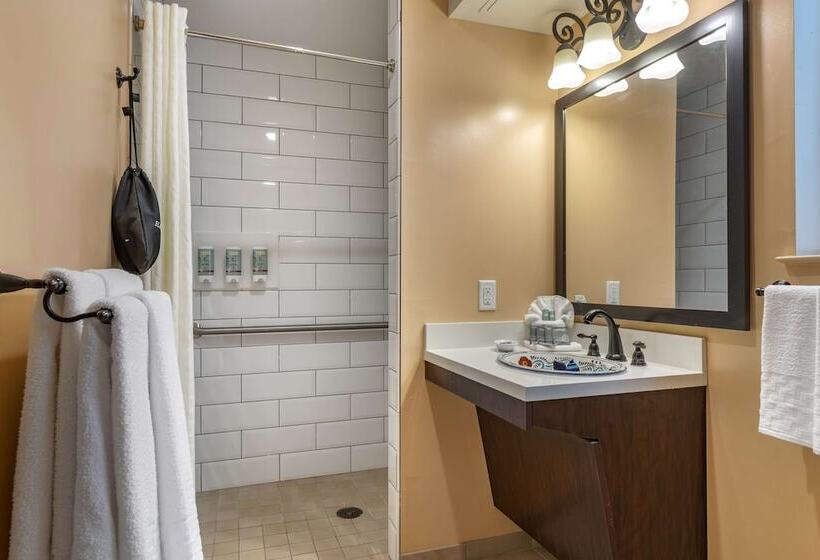 غرفة قياسية لذوى الاحتياجات الخاصة, Best Western Rose Garden Inn