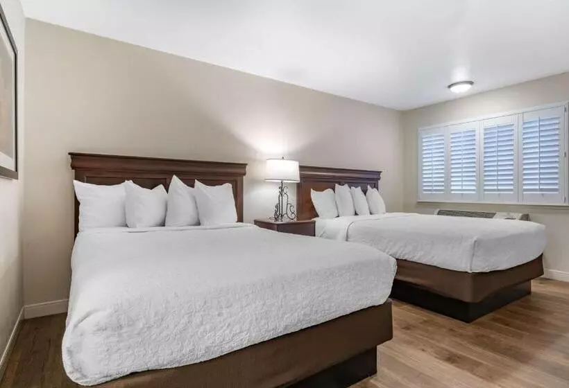 اتاق استاندارد, Best Western Rose Garden Inn
