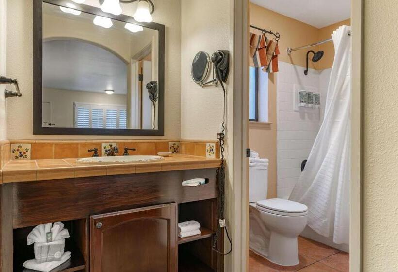 غرفة قياسية سرير كينج, Best Western Rose Garden Inn