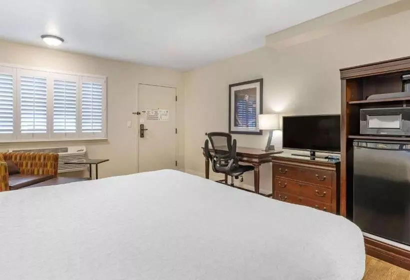 اتاق استاندارد با تخت بزرگ, Best Western Rose Garden Inn