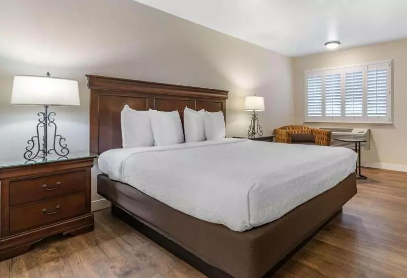 اتاق استاندارد با تخت بزرگ, Best Western Rose Garden Inn