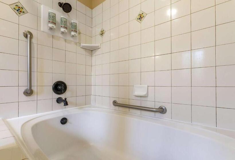 جناح ديلوكس, Best Western Rose Garden Inn