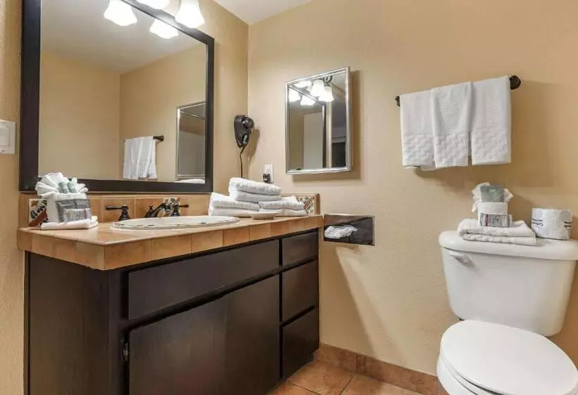 اتاق لوکس, Best Western Rose Garden Inn