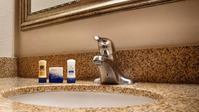 キングサイズベッドのスタンダードルーム, Best Western Tallahasseedowntown Inn And Suites