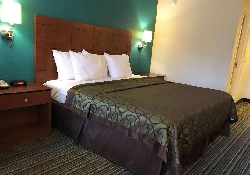 חדר סטנדרט עם מיטת קינג, Best Western Tallahasseedowntown Inn And Suites