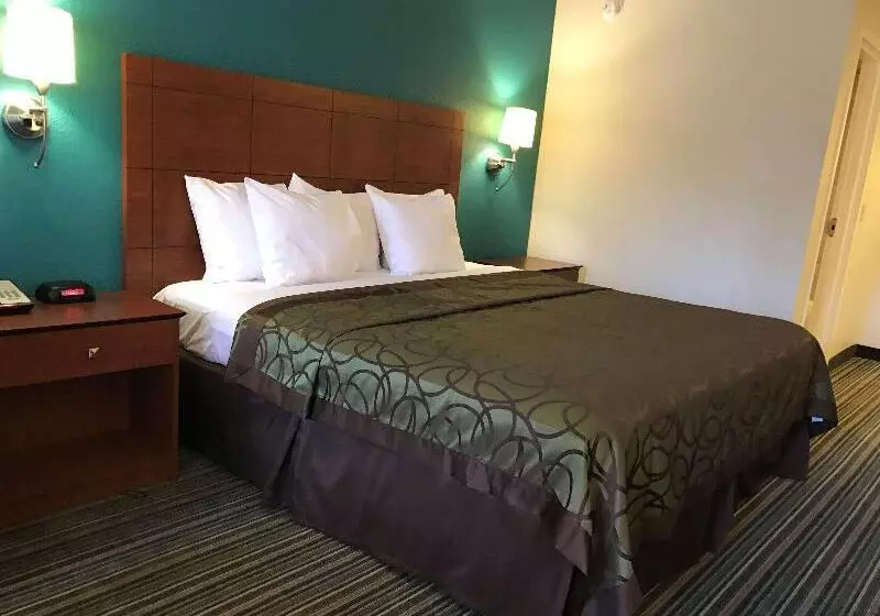 キングサイズベッドのスタンダードルーム, Best Western Tallahasseedowntown Inn And Suites