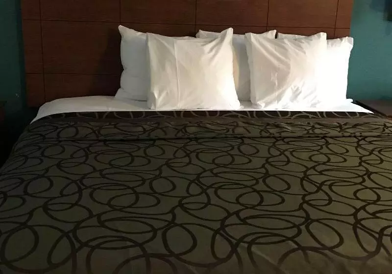 キングサイズベッドのスタンダードルーム, Best Western Tallahasseedowntown Inn And Suites