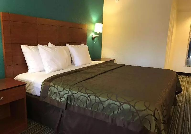 キングサイズベッドのスタンダードルーム, Best Western Tallahasseedowntown Inn And Suites