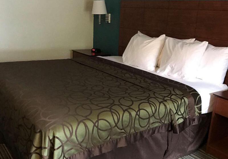 חדר סטנדרט עם מיטת קינג, Best Western Tallahasseedowntown Inn And Suites