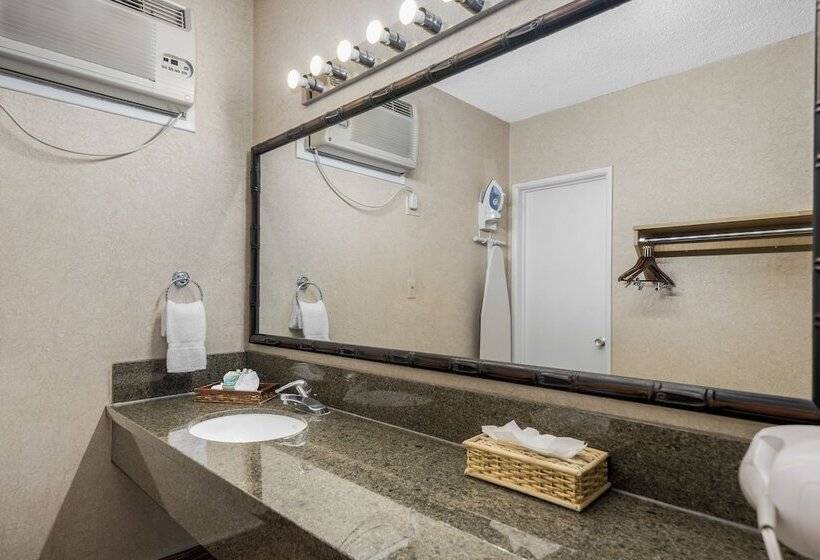 デラックスルーム, Caliente Tropics